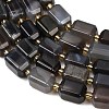 Natural Botswana Agate Beads Strands G-P611-A02-02-4