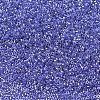 MIYUKI Delica Beads SEED-X0054-DB0243-4