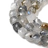 Natural Labradorite Beads Strands G-D358-A01-4