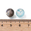Transparent Resin Beads RESI-H044-06-3