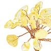 Natural Yellow Quartz Chip Pachira Glabra Display Decorations DJEW-K025-04F-3