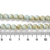 Natural Rainbow Alashan Agate Beads Strands G-NH0022-A-01-6