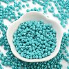 Baking Paint Glass Seed Beads SEED-A032-02H-2