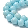 Natural Howlite Beads Strands G-E604-B02-B-4