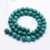 Natural Magnesite Beads Strands G-I199-33-8mm-2