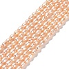Natural Cultured Freshwater Pearl Beads Strands PEAR-E016-127-1