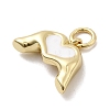 Brass Enamel Pendants KK-P338-24G-03-2