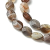 Natural Botswana Agate Beads Strands G-H004-B02-01-4