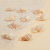Natural Conch Shell Beads BSHE-SC0001-02-4