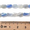 Electroplate Glass Beads Strands EGLA-P065-01A-05-4