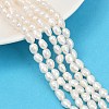 Natural Cultured Freshwater Pearl Beads Strands PEAR-P064-20H-04A-1