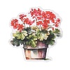 Potted Plant PET Stickers Set DIY-Z037-01E-4