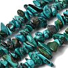 Natural HuBei Turquoise Bead Strands G-H345-A01-12-2