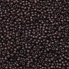 TOHO 11/0 Round Beads SEED-XTR11-0006CF-2