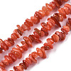 Natural Freshwater Shell Beads Strands SHEL-S278-070C-1