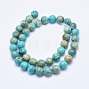 Natural Aqua Terra Jasper Beads Strands G-E444-14A-10mm-2