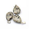 Teardrop Natural Dalmatian Jasper Pendants G-Q368-23-2