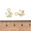 Alloy Charms AL-CBA5609-10G-A-3