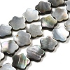 Natural Black Lip Shell Beads Strands SHEL-M021-02B-1