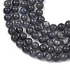 Natural Iolite Beads Strands G-Z148-A01-6mm-4