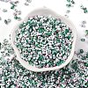 Baking Paint Glass Seed Beads SEED-C003-01A-2