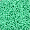 Opaque Acrylic Beads SACR-A007-01B-23-3