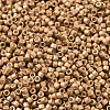 MIYUKI Delica Beads SEED-X0054-DB1152-1