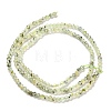 Natural Prehnite Beads Strands G-B107-A07-02-3