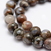 Natural Llanite Beads Strands G-K209-04A-6mm-5