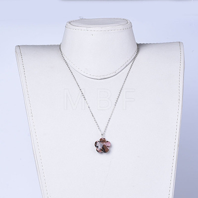 Natural Gemstone Pendants Necklaces NJEW-JN02364-1