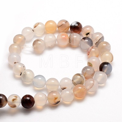 Natural Dendritic Agate Round Beads Strands G-E321C-6mm-01-1