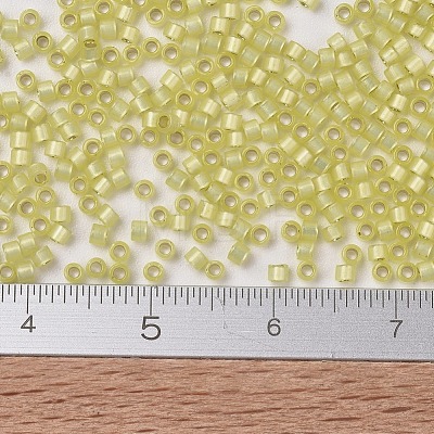 MIYUKI Delica Beads X-SEED-J020-DB0623-1