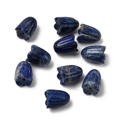 Natural Lapis Lazuli Beads G-A222-03I-1