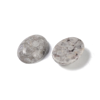 Natural Maifanite Cabochons G-B080-01A-12-1