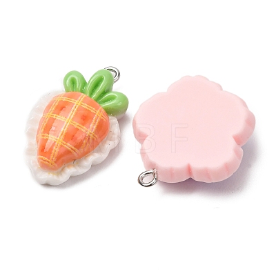 Opaque Resin Pendants RESI-K053-01-1