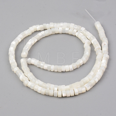 Natural Trochid Shell/Trochus Shell Beads Strands X-SHEL-R049-024-1