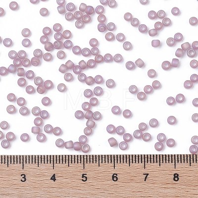 TOHO Round Seed Beads X-SEED-TR08-0166F-1