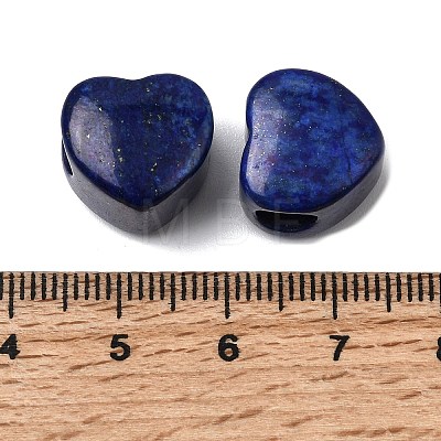 Dyed Natural Lapis Lazuli European Beads G-C269-01L-1