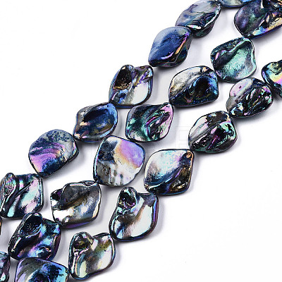 Freshwater Shell Beads Strands X-SHEL-N026-204-1
