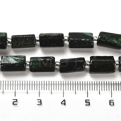 Natural Fuchsite Beads Strands G-N327-06-35-1