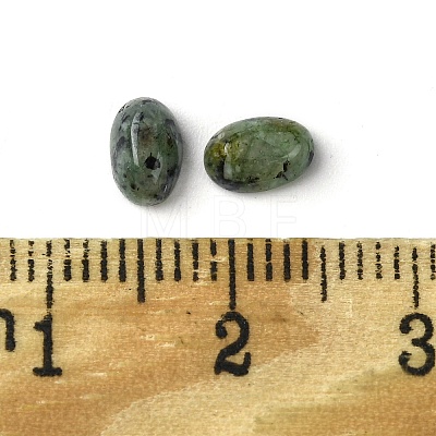 Natural African Turquoise(Jasper) Cabochons G-A094-01A-03-1