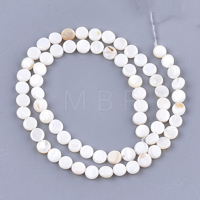 Freshwater Shell Beads Strands X-SHEL-S276-15A-1