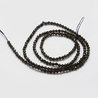 Natural Obsidian Bead Strands G-P270-2mm-28-1