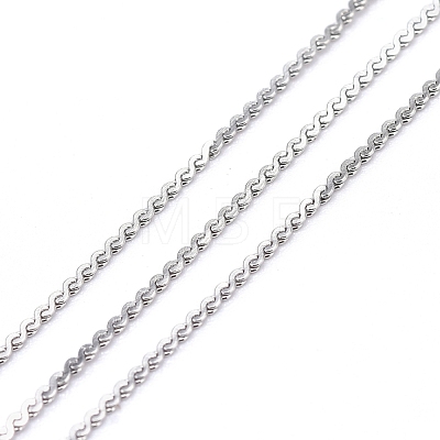 304 Stainless Steel Serpentine Chains CHS-F011-12A-P-1