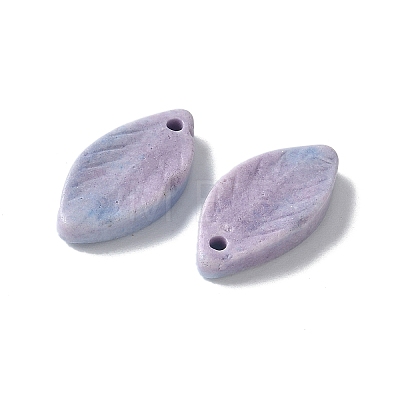 Natural Rainbow Alashan Agate Pendants G-G194-03A-1