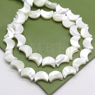 Natural White Shell Mother of Pearl Shell Beads BSHE-CJC0002-04-1