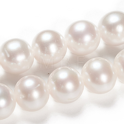 Natural Cultured Freshwater PearlBeads Strands PEAR-G007-25-1