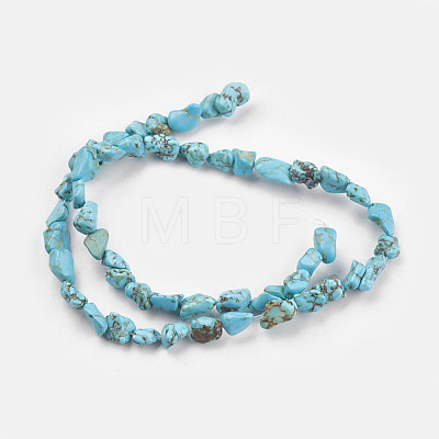 Natural Magnesite Beads Strands TURQ-G101-03-1