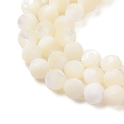 Natural Trochus Shell Beads Strands SHEL-P017-05-1
