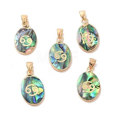 Constellation Natural Paua Shell Pendants KK-P265-01G-02-1